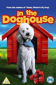 In the Dog House