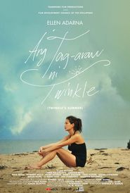 Ang tag-araw ni Twinkle (2013)