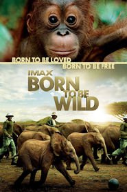 IMAX: Born to Be Wild