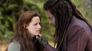 The Twilight Saga: New Moon
