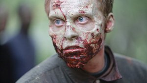 Z Nation