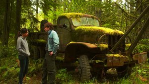 Safety Not Guaranteed