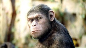 Rise of the Planet of the Apes