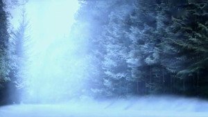 A Christmas Tale