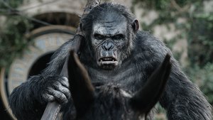 Dawn of the Planet of the Apes