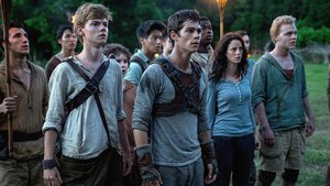 The Maze Runner