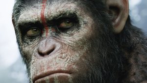 Dawn of the Planet of the Apes