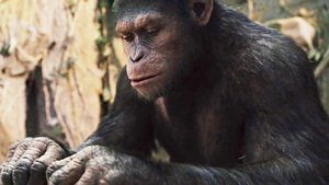 Rise of the Planet of the Apes