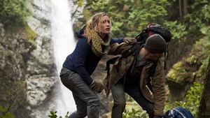 Into the Grizzly Maze