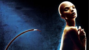 Splice