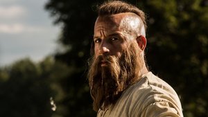 The Last Witch Hunter