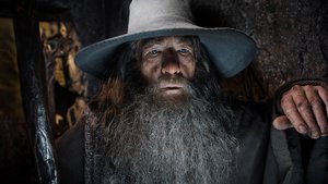 The Hobbit: The Desolation of Smaug