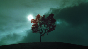 The Ring