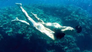 Still the Water