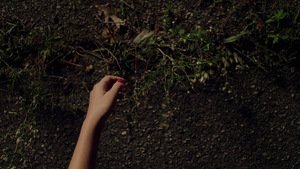It Follows