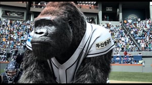 Mr. Go