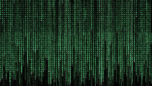 The Matrix