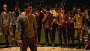 The Maze Runner