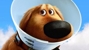 Up