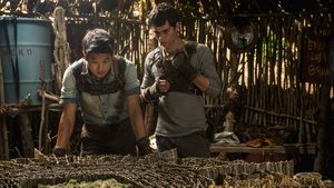 The Maze Runner