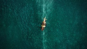 In the Heart of the Sea