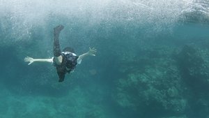 Still the Water