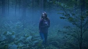 The Forest