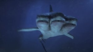 3-Headed Shark Attack