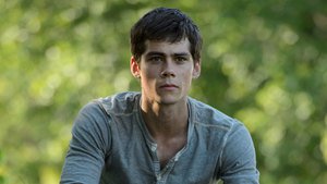 The Maze Runner