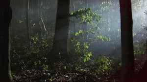 Texas Chainsaw 3D