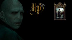 Harry Potter and the Deathly Hallows: Part 2