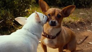 Beverly Hills Chihuahua 3 – Viva La Fiesta!
