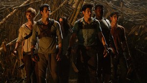 The Maze Runner