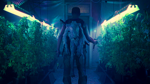 Attack the Block