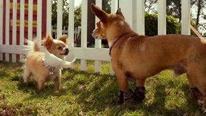 Beverly Hills Chihuahua 3 – Viva La Fiesta!