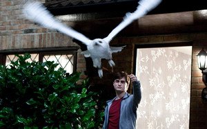 Harry Potter and the Deathly Hallows: Part 1