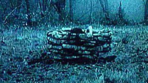 The Ring