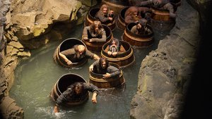 The Hobbit: The Desolation of Smaug
