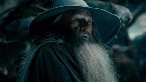 The Hobbit: The Desolation of Smaug