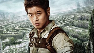 The Maze Runner
