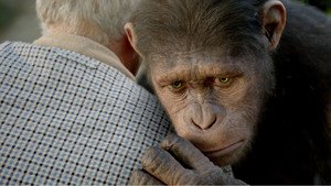 Rise of the Planet of the Apes