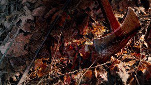 Hatchet II