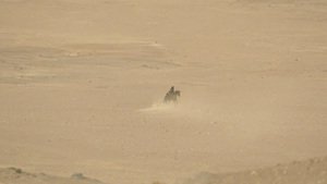 Gallowwalkers