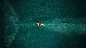 In the Heart of the Sea