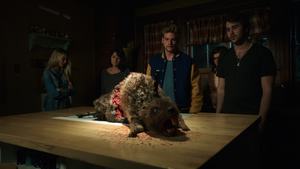 Zombeavers