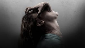 The Possession