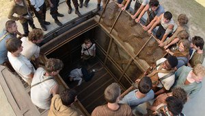 The Maze Runner