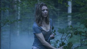 The Forest