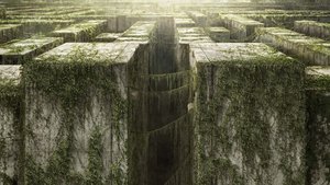 The Maze Runner