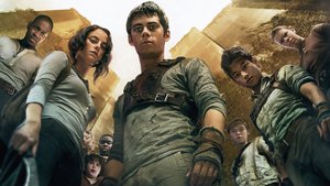The Maze Runner